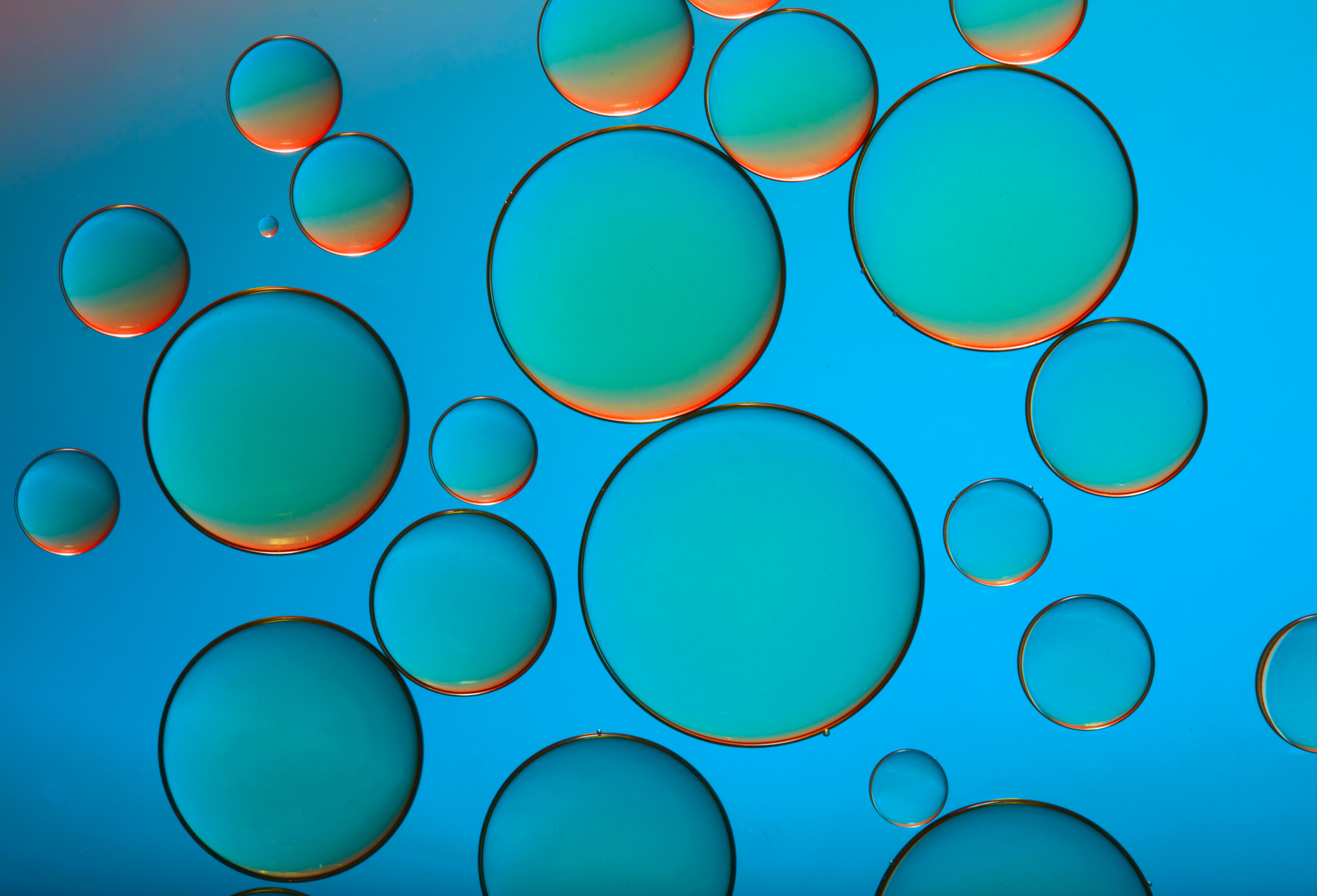Anthony Nex Still Life, Cosmetics and Liquids Photography